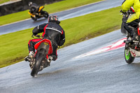 PJ-Motorsport-Photography-2020;anglesey;brands-hatch;cadwell-park;croft;donington-park;enduro-digital-images;event-digital-images;eventdigitalimages;mallory;no-limits;oulton-park;peter-wileman-photography;racing-digital-images;silverstone;snetterton;trackday-digital-images;trackday-photos;vmcc-banbury-run;welsh-2-day-enduro